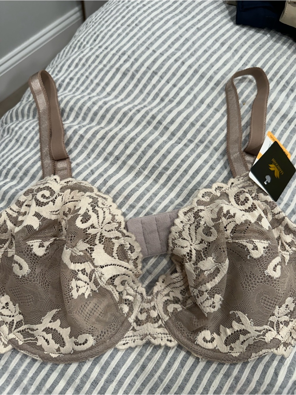 Wacoal Taupe Bra with Cream Lace Overlay